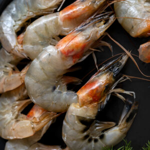 جمبري (قريدس) – أحجام مختلفة