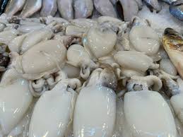 أسماك متنوعه - الصورة 4