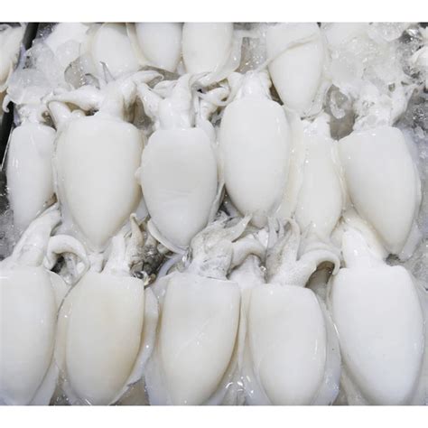 أسماك متنوعه - الصورة 3